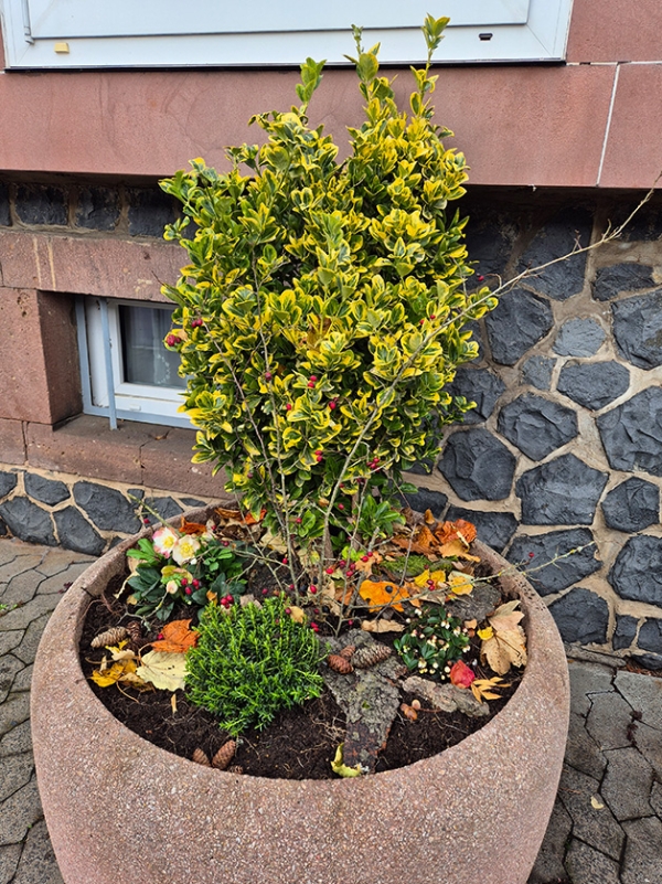 Herbstliche Grüße aus Lauterbach